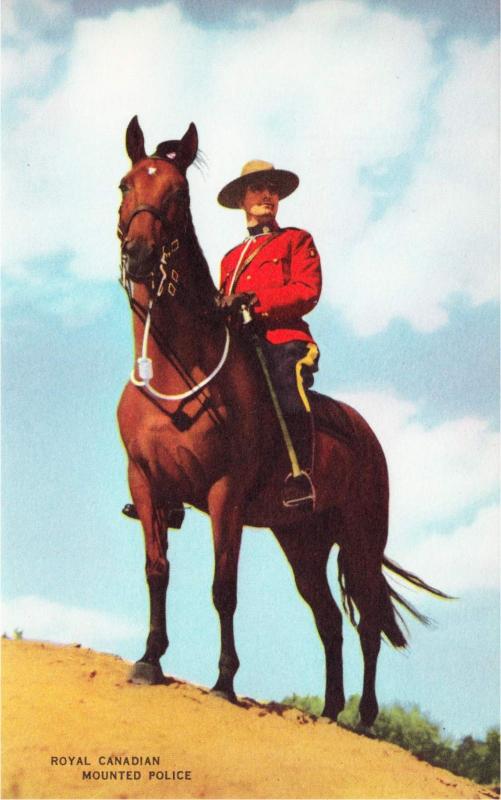 Canada Mountie on Horse RCMP Original 1940s Postcard