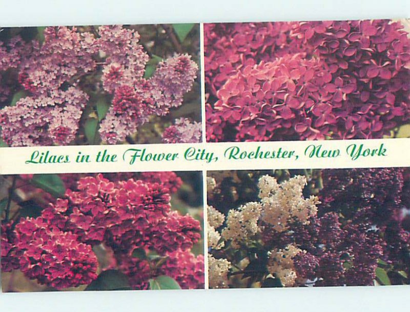 Pre-1980 FLOWERS CITY Rochester New York NY AD2395