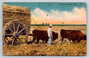 Vintage Cuba Sugar Cane Cart Postcard 1951 Carreta de Cana Oxen Linen Habana