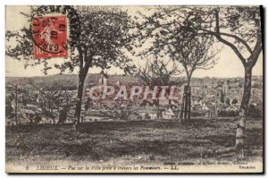 Old Postcard Lisieux city views taken through the apple trees