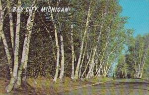 Bay City Michigan 1968