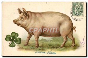 Old Postcard Pig Pig Clover