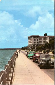 Postcard SC Charleston - Murray Boulevard or Low Battery with cars