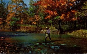 Maine Stream Fishing Scene 1953