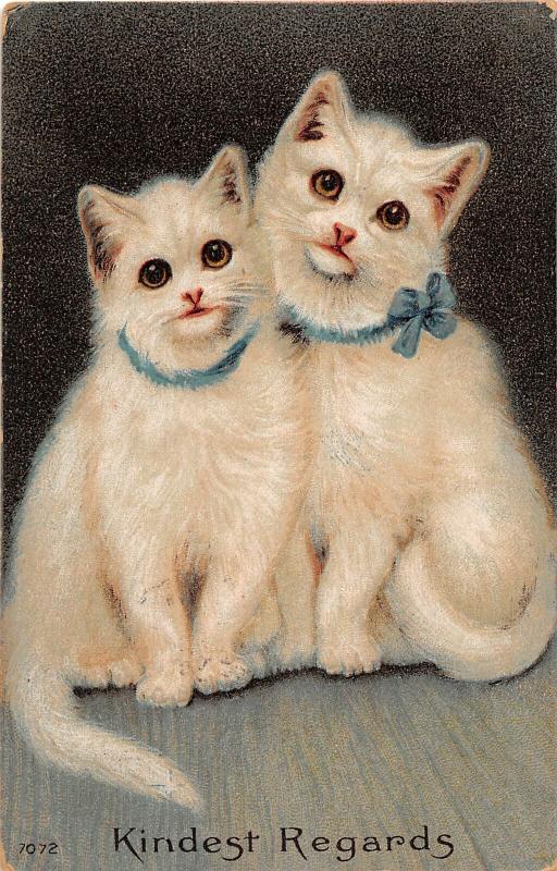 F14/ Cat Animal Postcard 1910 Kind Regards Beautiful White Cats 13