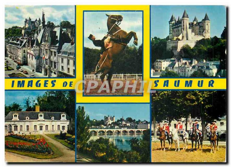 Postcard Modern Anjou Saumur Maine et Loire City Hall a bow Chateau Botanical...