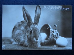 Joyous Easter Greeting BUNNY Prefers to stay at Home - Old RP Postcard by EAS