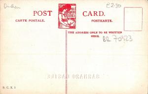 BR70323 barnard castle    uk