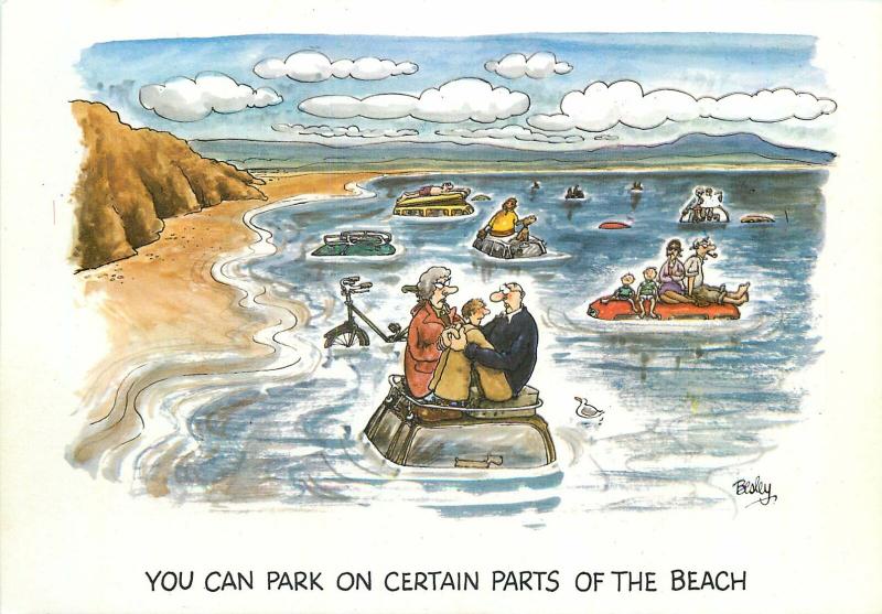 Beach humour funny parking by Besley comic