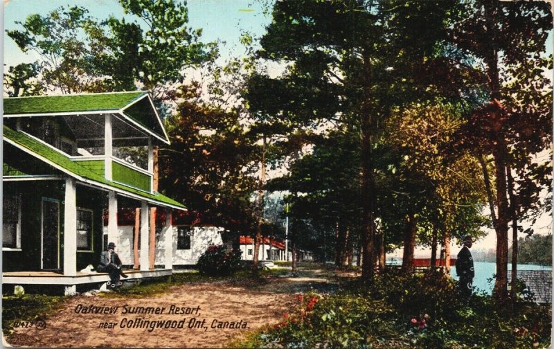 Oakview Summer Resort Collingwood Ontario ON Men White Dog c1916 Postcard F28