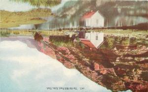 C-1910 ECHO UTAH Old Mill Pond Haffner postcard 3778