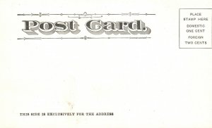 Vintage Postcard 1900's The Arlington Hotel Hot Springs Arkansas Chas Cutter Pub