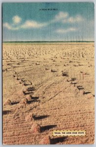 Vtg Texas TX A Rice Field Postmarked Carthage 1950s Old Linen Card Postcard