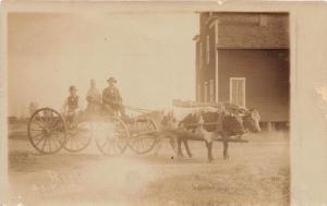 E54/ Bellingham Minnesota Real Photo RPPC Postcard c1910 Cow Wagon Men