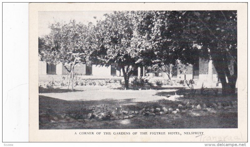 A corner of the Gardens of the Figtree Hotel , NELSPRUIT , Transvaal , S.A. ,...