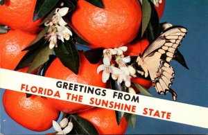 Greetings From Florida The Sunshine State With Oranges Split View