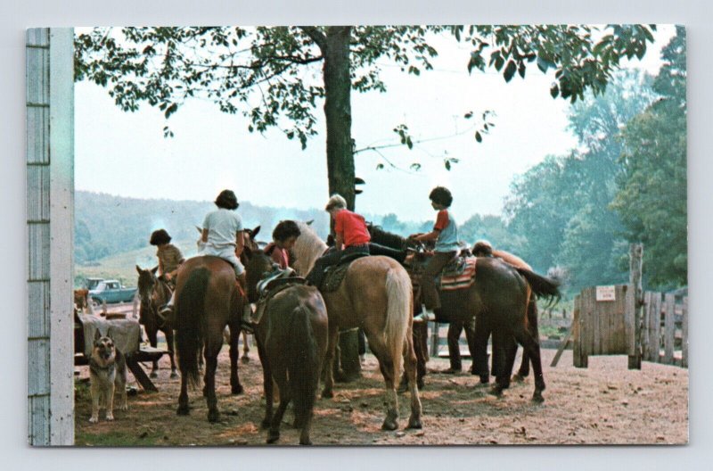 Horses on Trail Circle C Ranch Austin Texas TX UNP Chrome Postcard O2