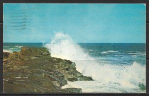Maine, Ogunquit - Bald Head Cliffs - [ME-049]