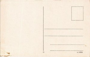 CPA AK Lindau I. B.- Bad Schachen GERMANY (882905)