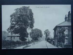 London Middlesex SUDBURY Elms Lane - Old Postcard by F.A. Keates / Photochrom