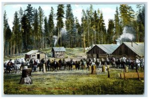 c1910 Logging Scene in the State at Idaho ID Antique Unposted Postcard