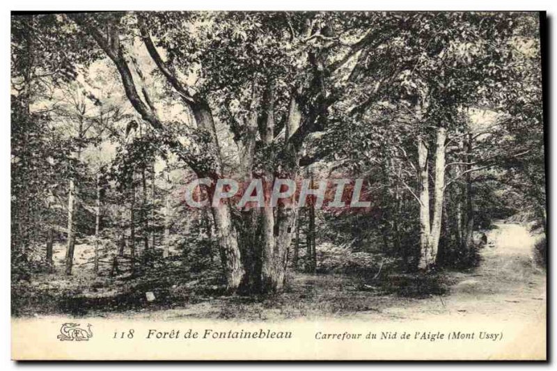 Old Postcard Foret De Fontainebleau Carrefour Du nest of & # 39aigle Mont Uss...