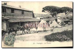 Old Postcard Horse Riding Equestrian Country Stables