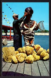 Preparing Fior Sponge Diving,Tarpon Springs,FL