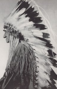 Native American Indian Full Costume & Head Dress Real Photo Postcard