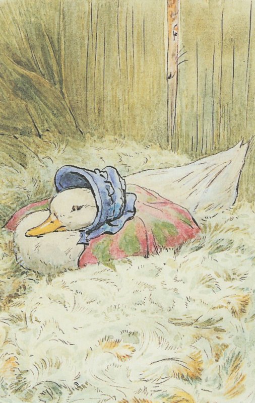 The Tale Of Jemima Puddle Duck Beatrix Potter Book Postcard