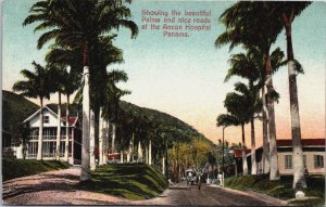 Panama Showing The Beautiful Palms Ancon Hospital Vintage Postcard C099