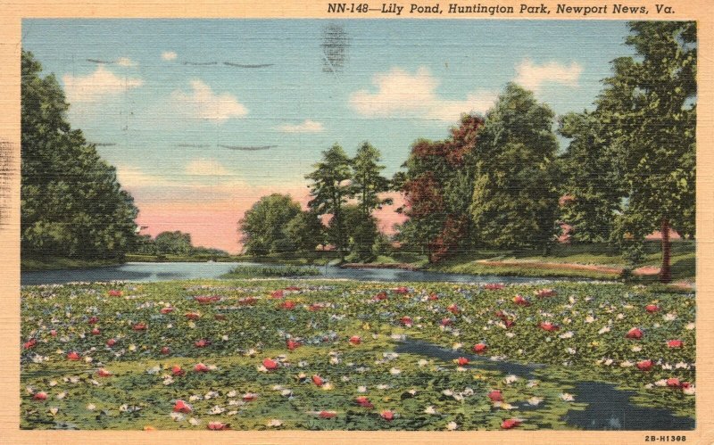 Vintage Postcard 1946 Lily Pond Huntington Park Newport News Virginia Harry Cann