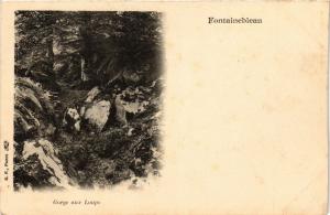 CPA FONTAINEBLEAU - Gorge aux Loups (248962)