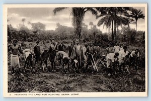 Sierra Leone Postcard Preparing the Land for Planting c1930's Tuck Art