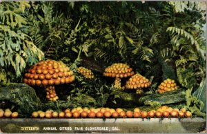 Mushrooms of Oranges, Sixteenth Annual Citrus Fair, Cloverdale CA Postcard G55