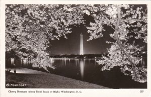 Washington D C Cherry Blossoms Along Tidal Basin At Night Real Photo