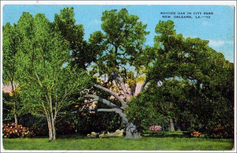 Suicide Oak, New Orleans LA