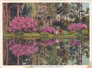 Beautiful Lake Bellingrath Gardens Mobile Alabama