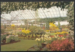 Netherlands Postcard - Flower Garden - Keukenhof, Lisse-Holland  LC4145