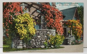 A Rose Covered Bungalow in Southern California Temple Spring Farm Postcard C14