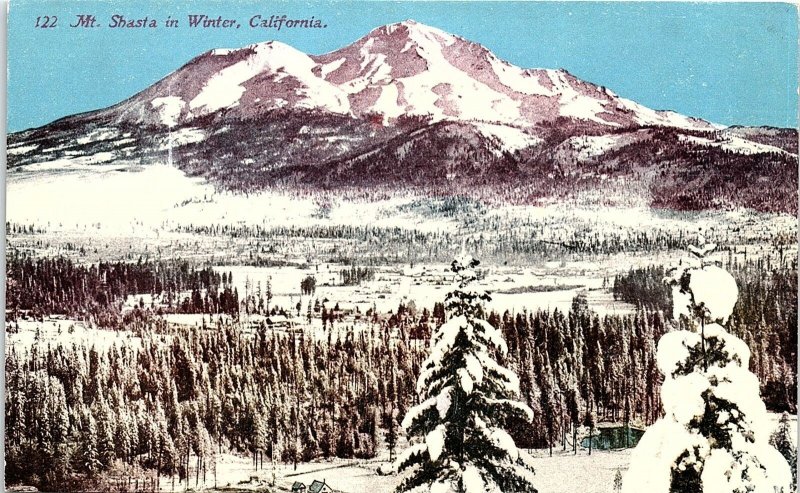 c1910 MT SHASTA CALIFORNIA IN WINTER SNOW COVERED TREES MOUNTAIN POSTCARD 42-25