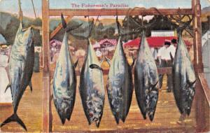 AVALON CALIFORNIA 1920 PSTMK~FISHERMAN'S PARADISE POSTCARD