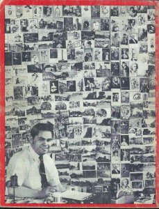 BOOK- Mail Memories: Postcard Guide