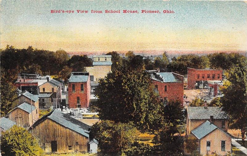 E17/ Pioneer Ohio Postcard c1910 Birdseye View from School House Stores Homes