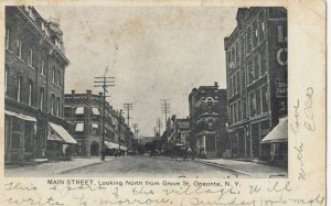 ONEONTA, New York, 1906 ; Main Street