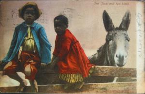 BLACK AMERICANA Children w Donkey c1905 Postcard