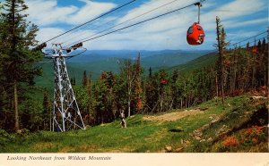 NH - White Mountains, View Northeast from Wildcat Mountain