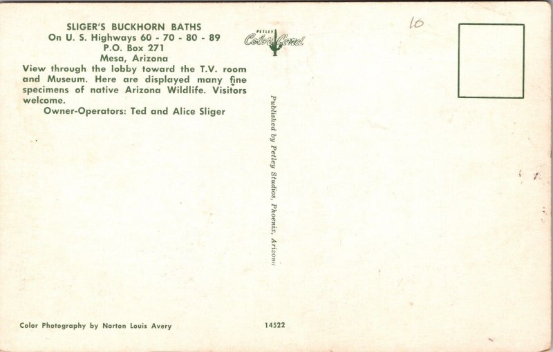 Interior Sliger's Buckhorn Baths Mesa, Arizona Postcard