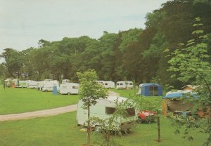 Elvaston Caravan Park Derby Camping Site 1970s Tents Postcard