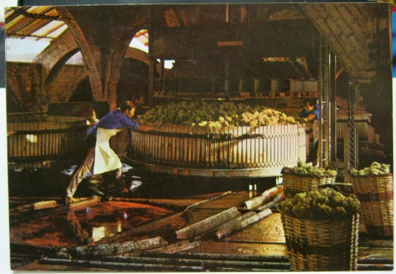 Spain Cavas Codorniu Pressing the Grapes - posted 1993